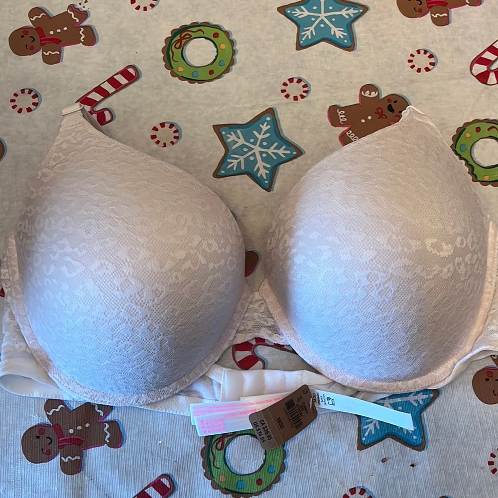 PINK bra